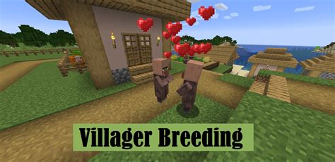 how do you make villagers breed|How to breed Villagers in Minecraft .